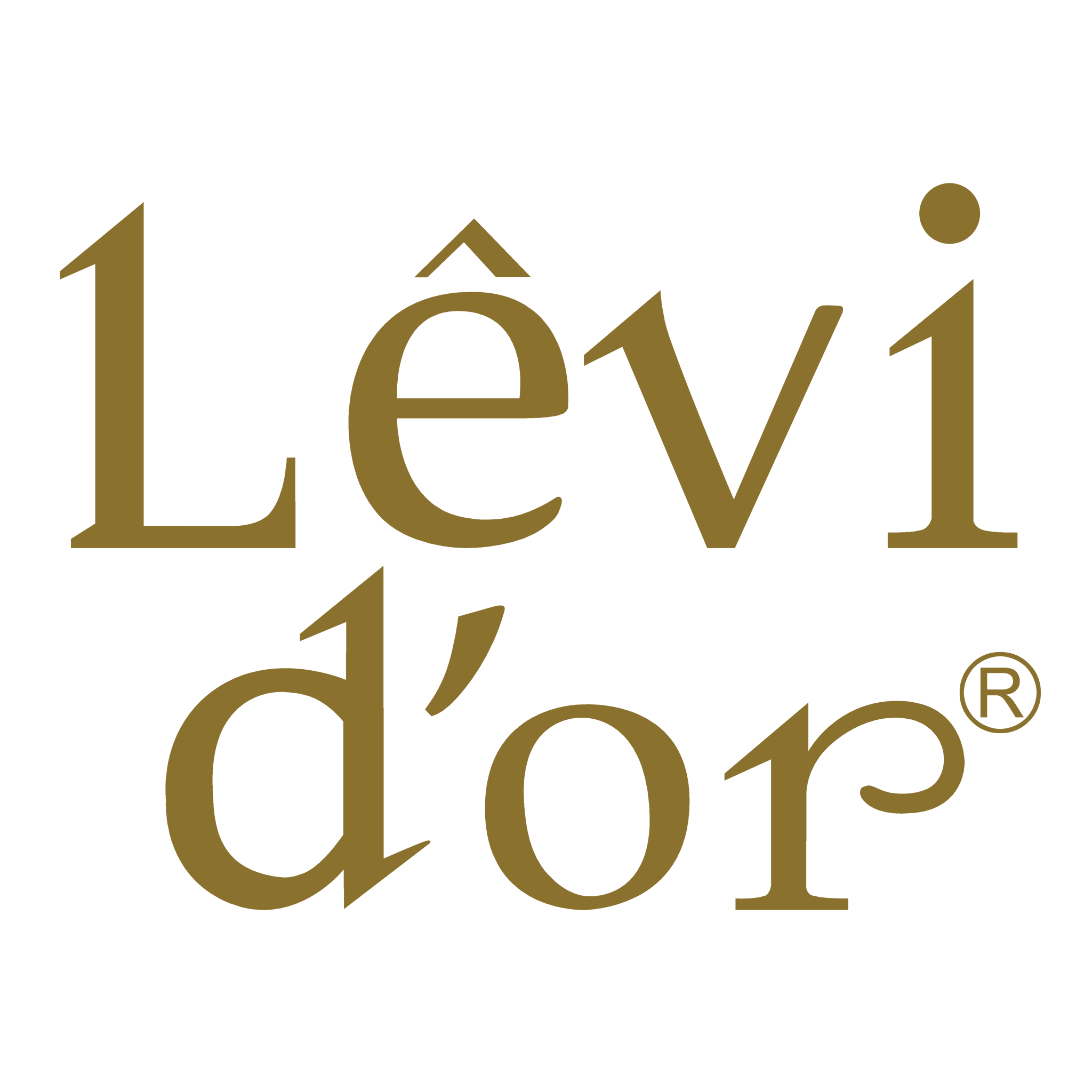 Levidor Eşarp ve Şal